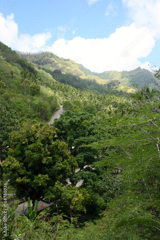 Obraz premium route au milieu de la vallée