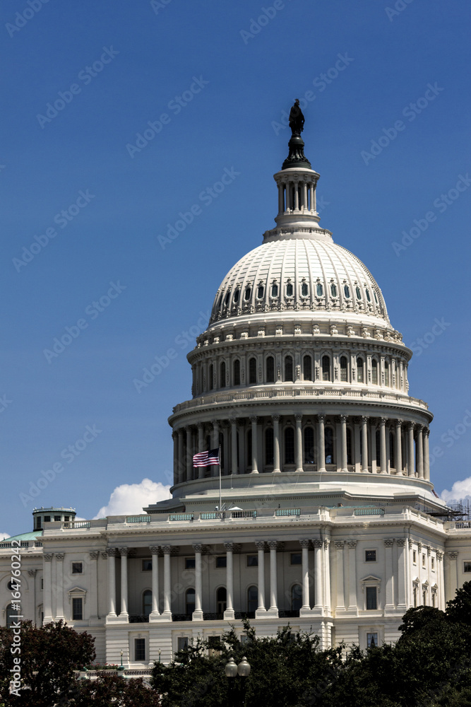 Obraz premium US Capitol Building in Washington D.C. (vertical orientation)