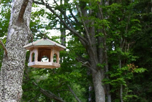 Photo of homemade wooden birdhouse in the forest.