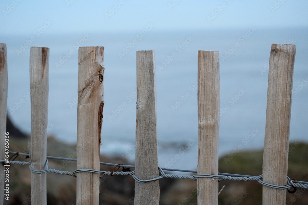 Fence