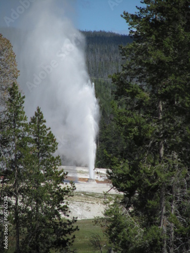 Yellowstone Geyser 1