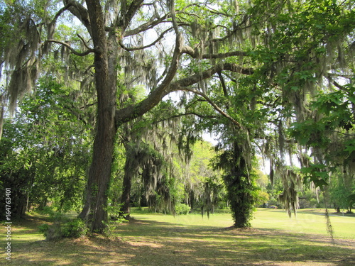 Savannah Golf