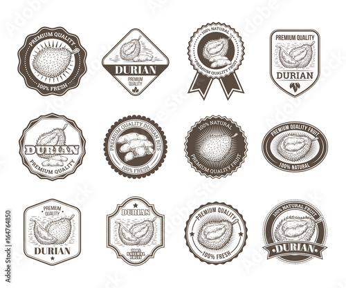 Set of black and white vector badges, stickers, high quality signs, real fresh natural product with durian fruit, in an engraving style isolated on white.