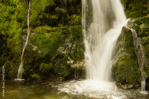 Madison Falls near the Elwha River photo