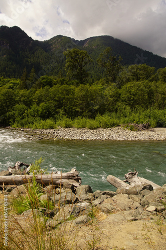 Driftwood on the  Elwha River photo