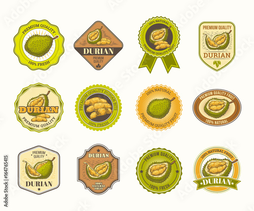 Set of color vintage vector badges, stickers, high quality signs, real fresh natural product with durian fruit, in an engraving style isolated on white.