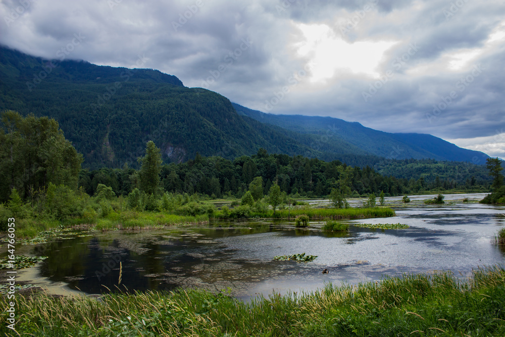 view from the parking lot at  Cheam Wetlands right beside Flood Falls just outside Chilliwack, British Columbia, Canada