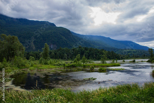 view from the parking lot at Cheam Wetlands right beside Flood Falls just outside Chilliwack, British Columbia, Canada