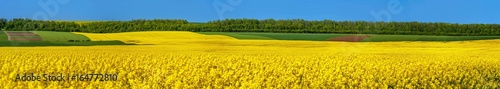 Great panoramic view of Rape Field