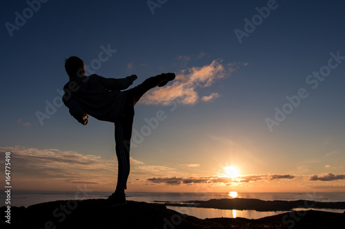 Silhouette of man doing TaeKwonDo or Karate kick in the sunset. Martial art concept. © Thomas