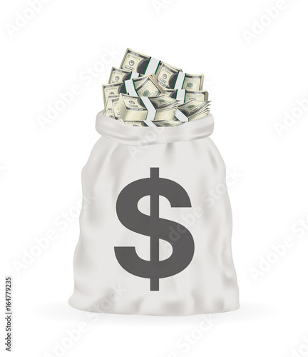 money bag full of dollar banknotes vector