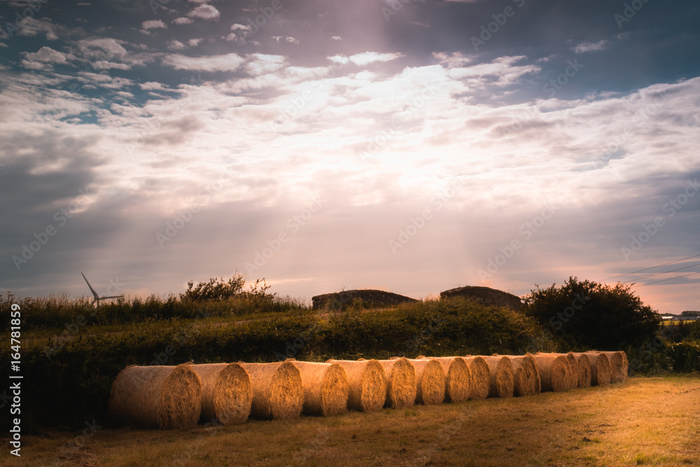 Round Hay Bales - Bales in a line next to a bridge with the sun behind.