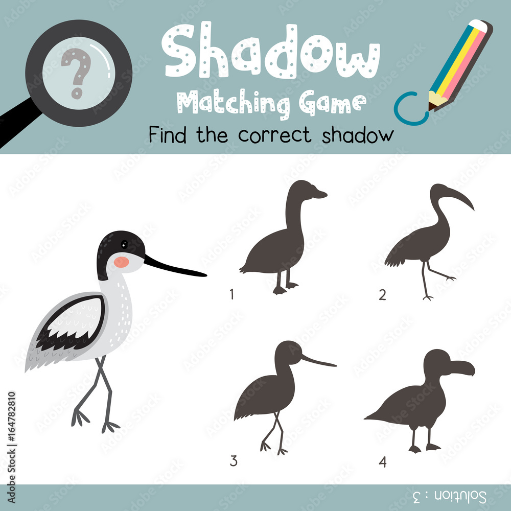 Obraz premium Shadow matching game of avocet bird animals for preschool kids activity worksheet colorful version. Vector Illustration.