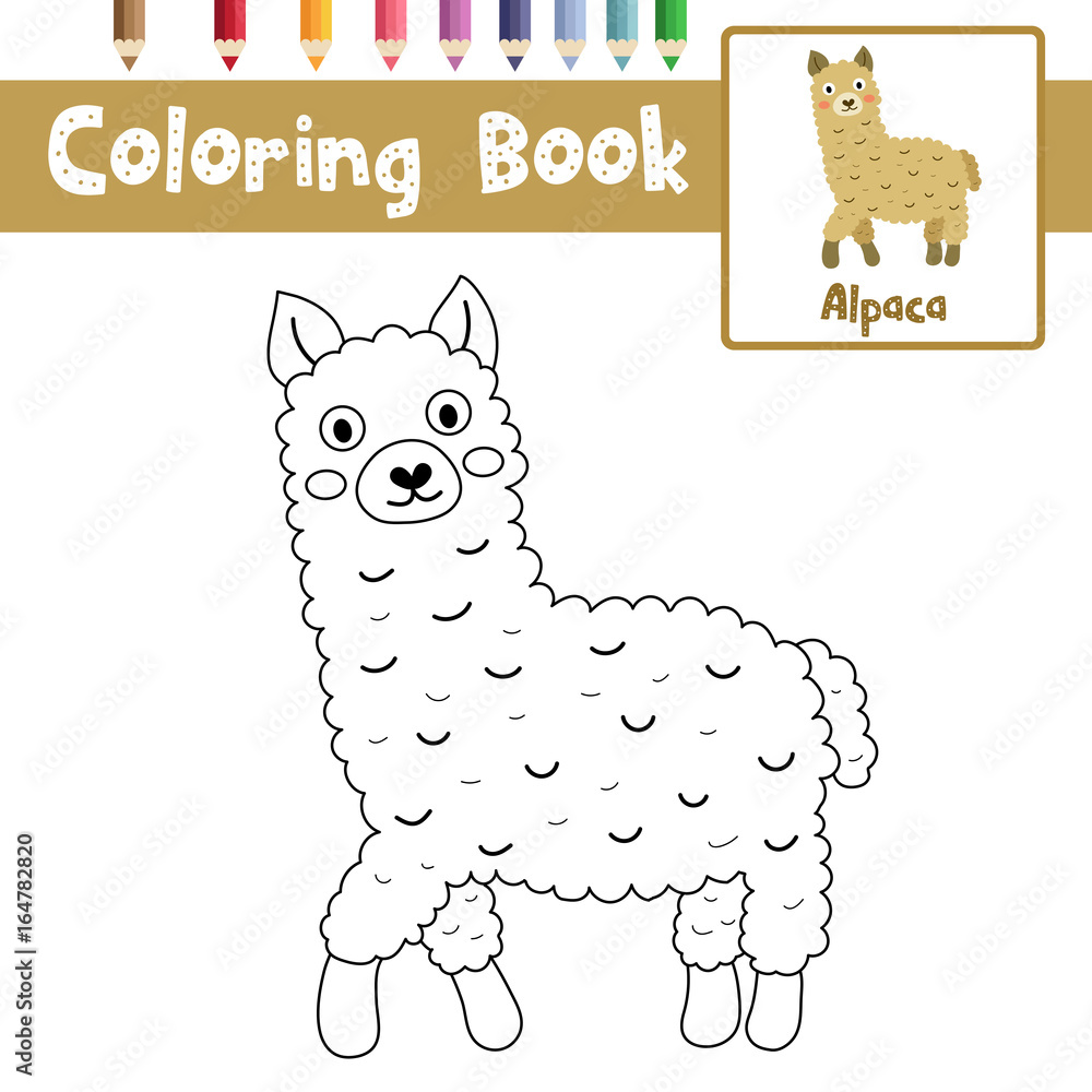 Naklejka premium Coloring page of brown alpaca animals for preschool kids activity educational worksheet. Vector Illustration.