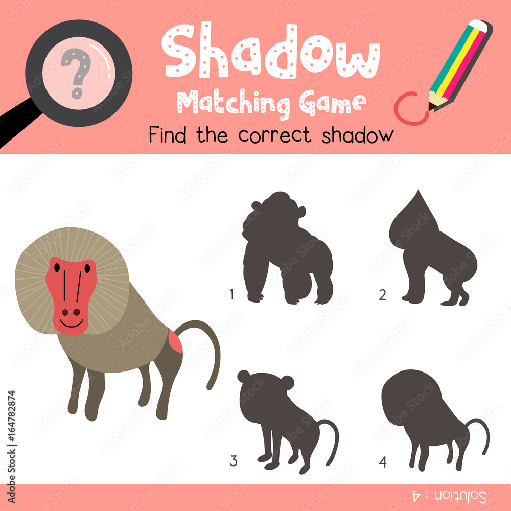 Obraz premium Shadow matching game of Baboon animals for preschool kids activity worksheet colorful version. Vector Illustration.