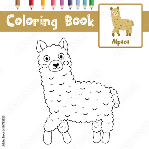 Coloring page of brown alpaca animals for preschool kids activity educational worksheet. Vector Illustration.