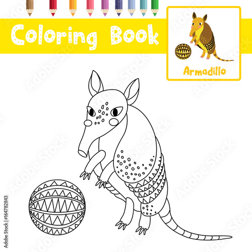 Coloring page of Standing armadillo with ball animals for preschool kids activity educational worksheet. Vector Illustration.