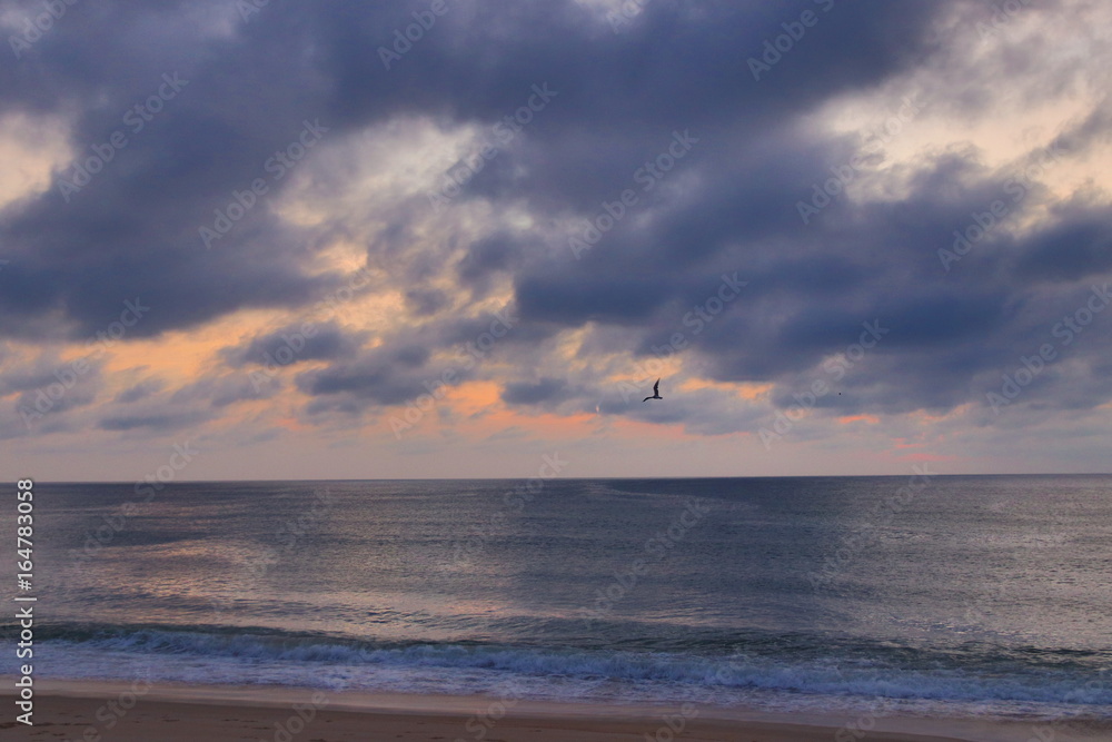 Beach with clouds during sunrise with bird flying above 