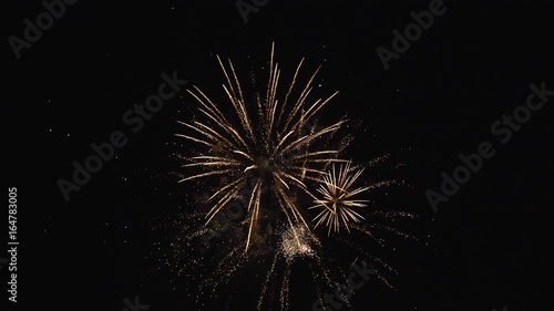 Wallpaper Mural 打ち上げ花火 Torontodigital.ca