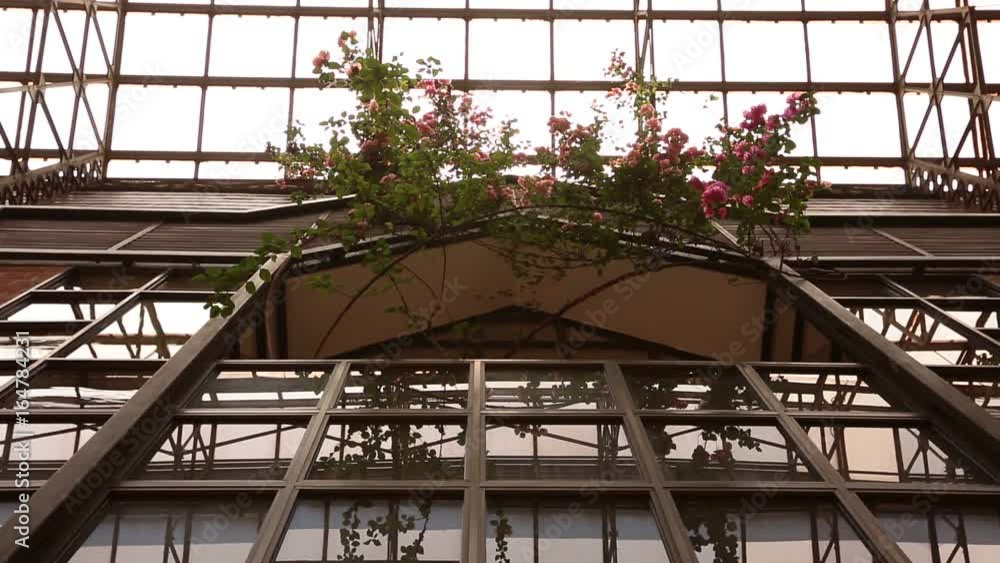 Ceiling flower arrangement Ceiling flower arrangement