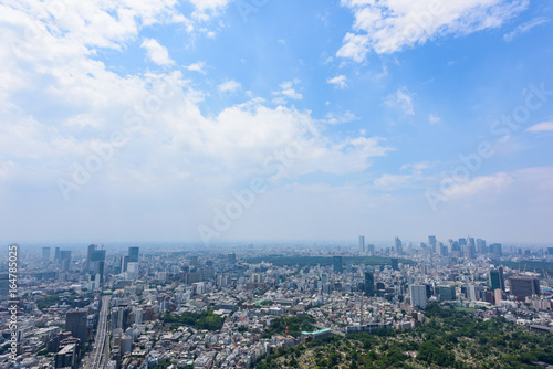 東京の都市風景 © kurosuke