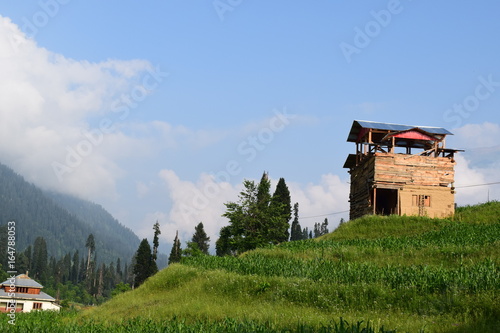 Mountain View Landscape