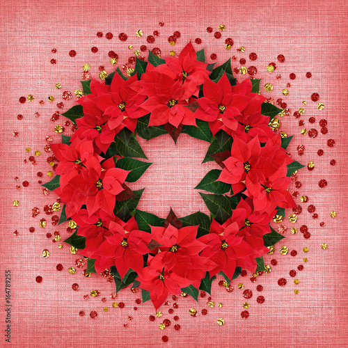 Christmas poinsettia flower...