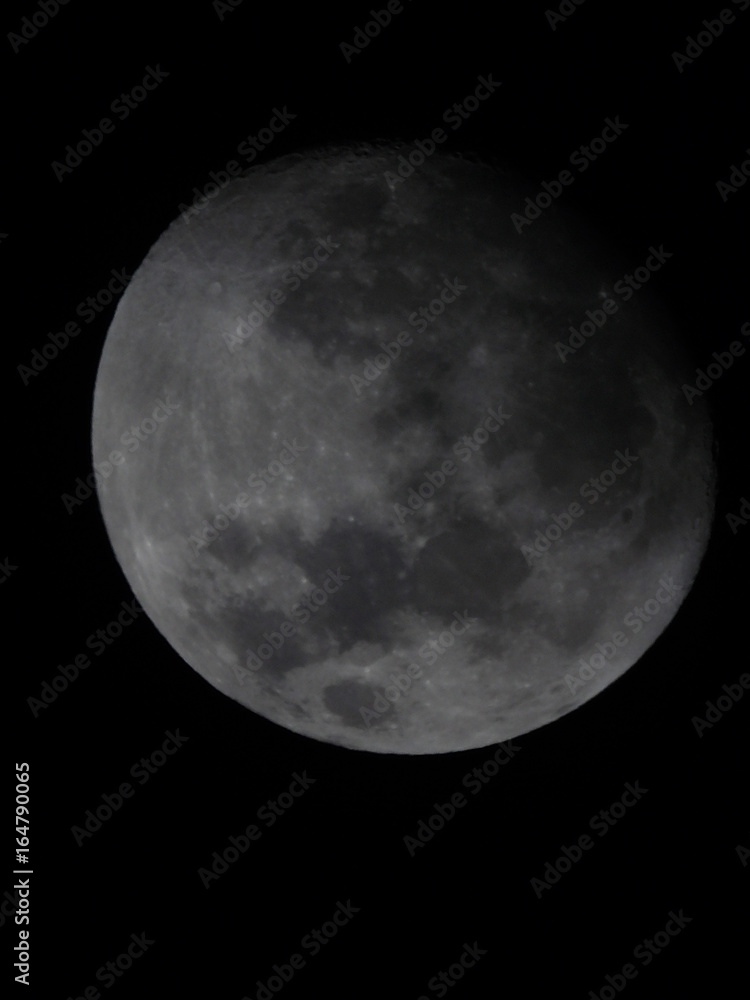 Fototapeta premium KODAK Digital Still Camera