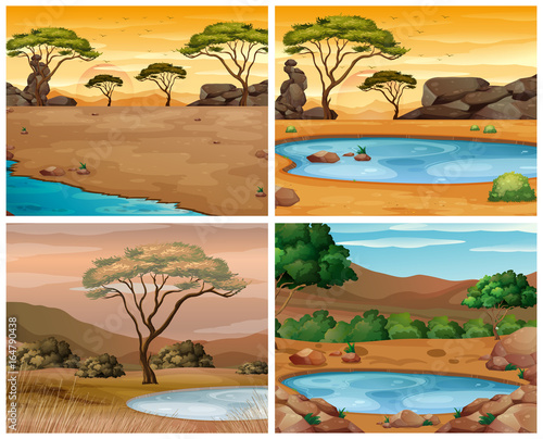 Four savanna scenes at different times of day