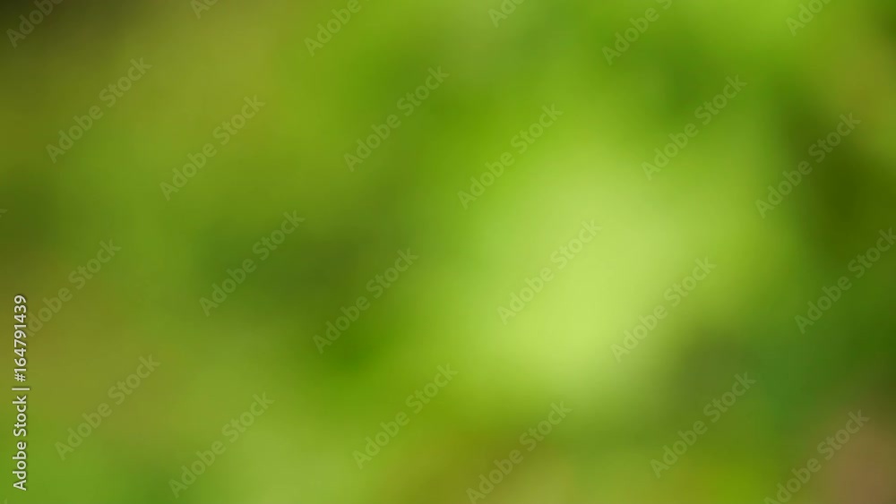 Background with round blurred bokeh. Abstract background