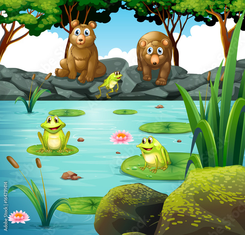 Fototapeta Naklejka Na Ścianę i Meble -  Two bears and three frogs at the pond