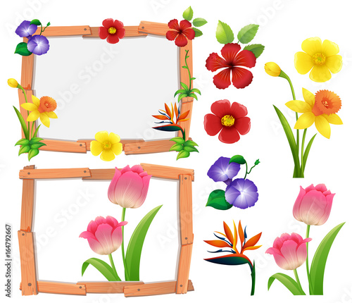 Frame template with different types of flowers