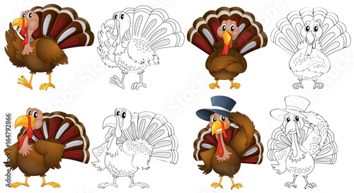 Doodle character for wild turkeys