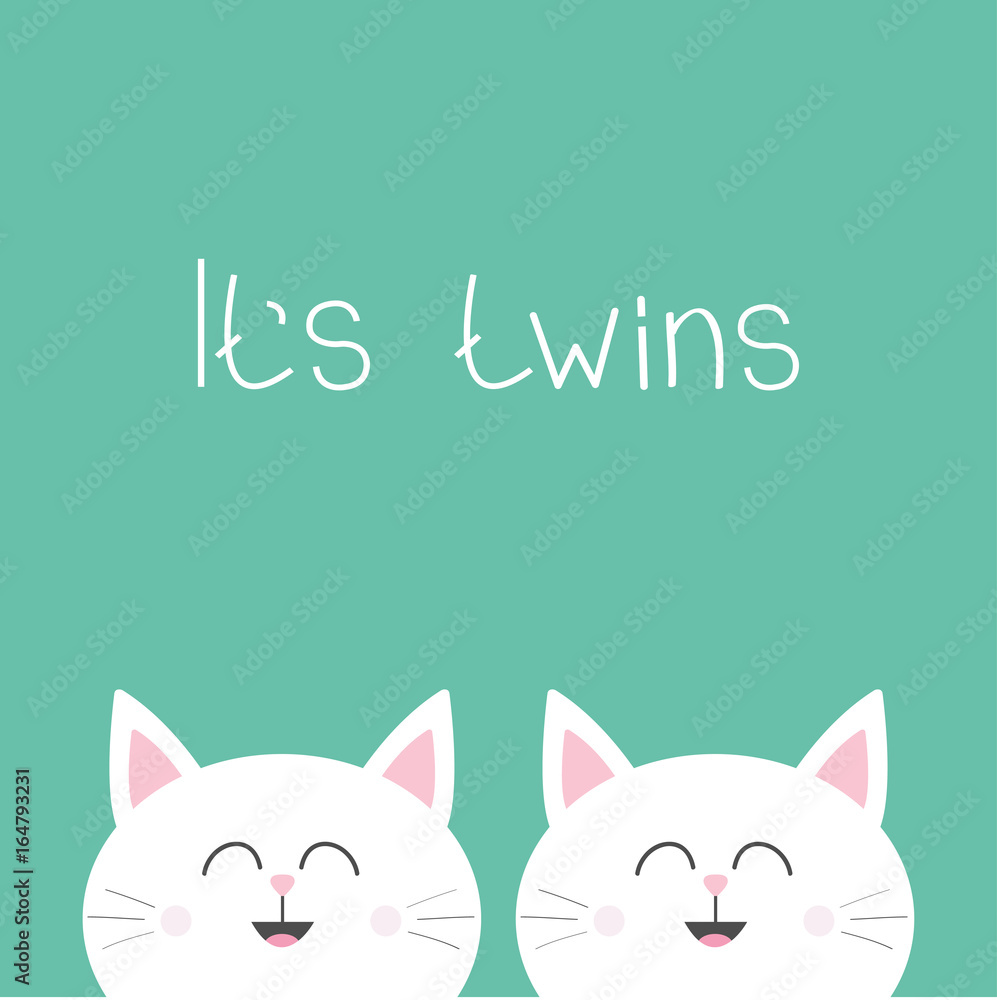 Its twins Two cute twin cats. Cat head couple family icon. Cute
