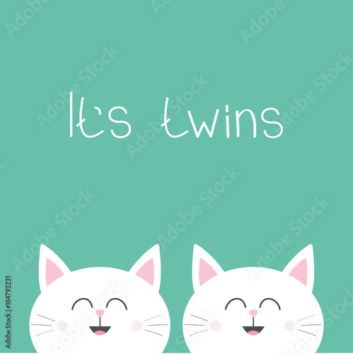 Its twins Two cute twin cats. Cat head couple family icon. Cute cartoon funny character set. Green background. Isolated. Flat design