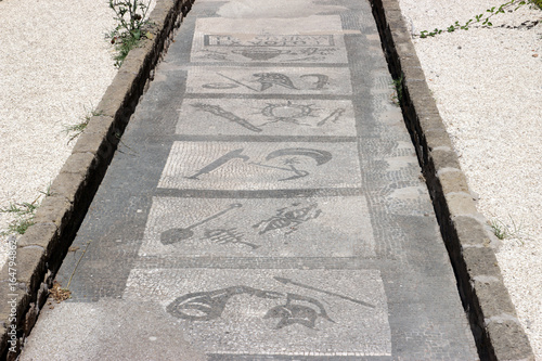 Mitreum temple mosaic floor photo