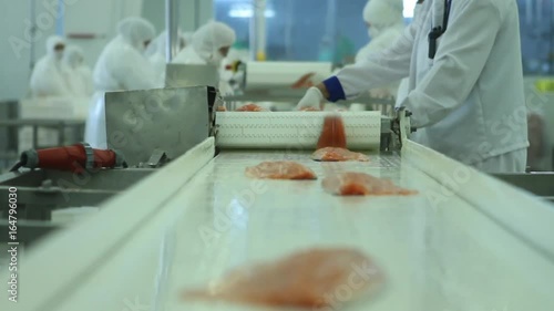 Workers fileting salmon
