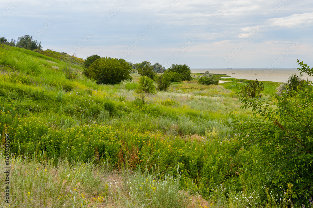 Sea landscape. Terrain on the coast of the Azov Sea in the Rostov region Sea landscape. Terrain on the coast of the Azov Sea in the Rostov region
