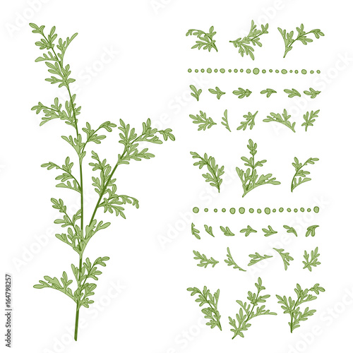 Foto Wormwood