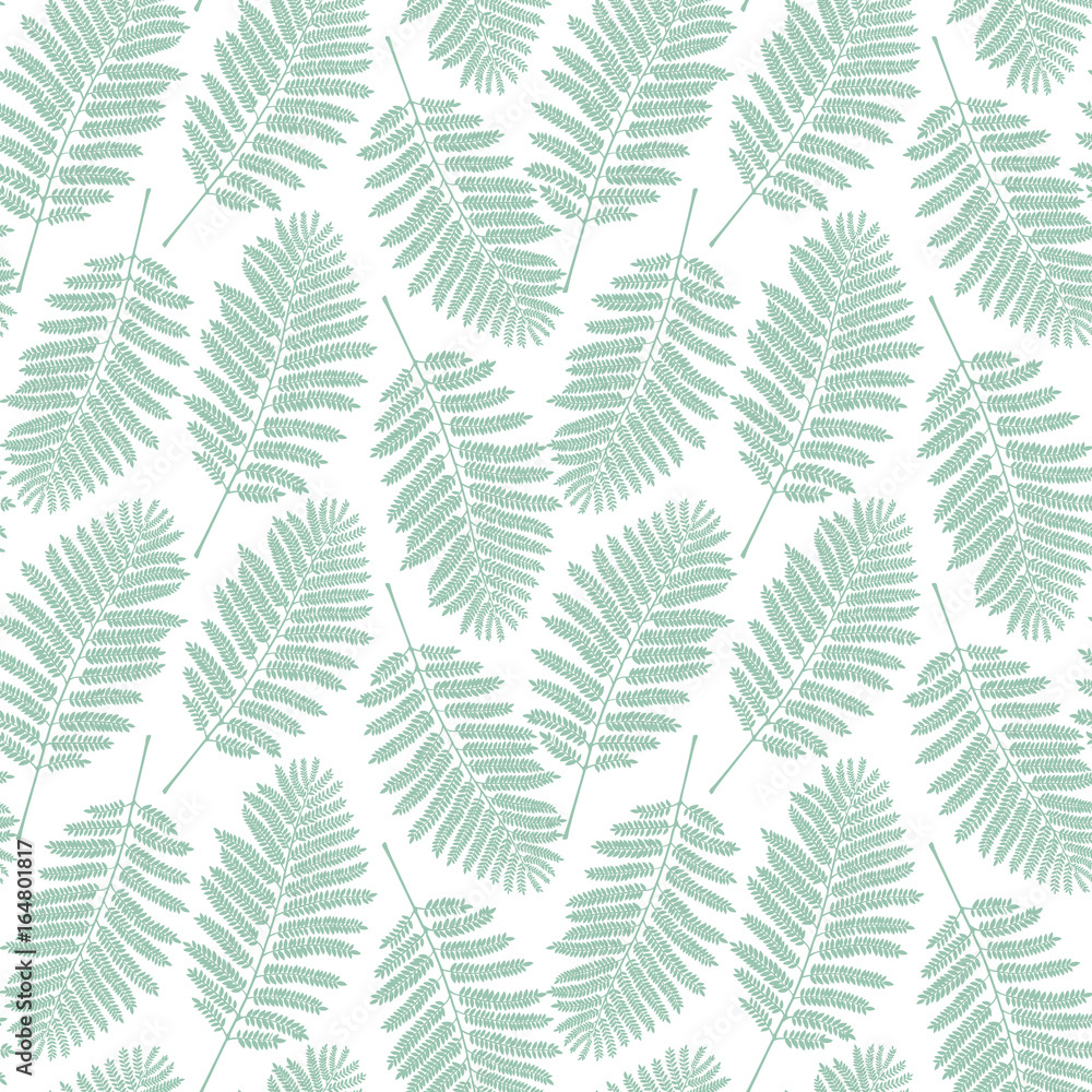 Fern leaf pattern