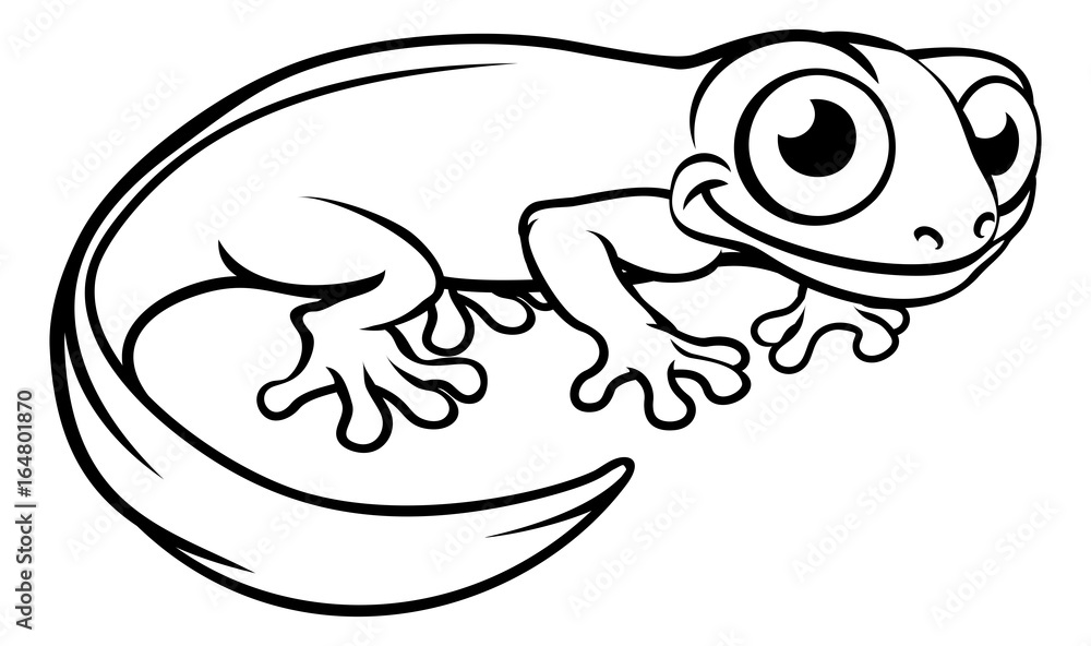Newt or Salamander Cartoon Character Newt or Salamander Cartoon Character