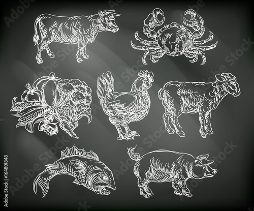 Food Groups Chalk Hand Drawn Animal Icons