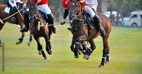 Polo horse player riding a horse to hit a ball in match.