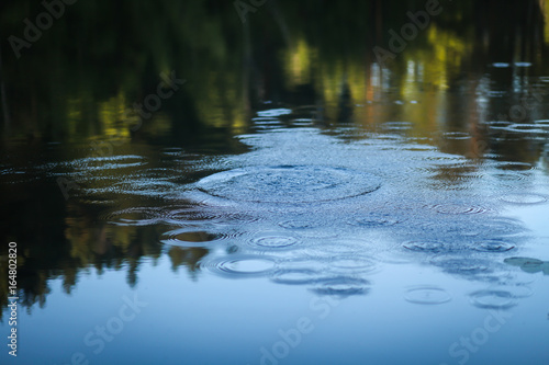 круги на воде 