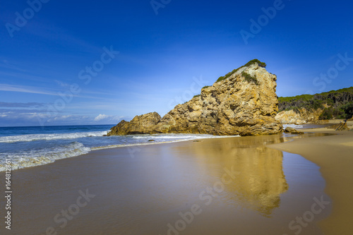 Beautiful rock formation reminding a lion reflecting in water on sandy ocean beach with copy space photo