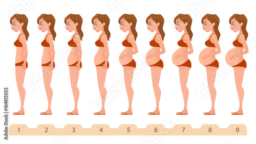 Beautiful pregnant woman silhouettes for medicine pregnancy infographics, monthly pregnancy