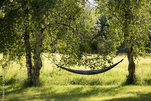 Wallpaper Mural Summer vacation Torontodigital.ca