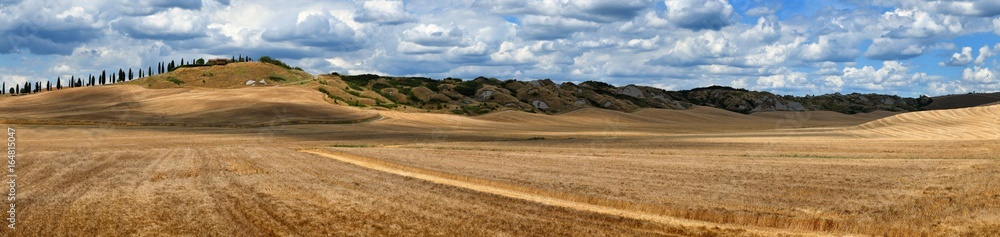 Tuscany Landscape with gold wheat field and cypress near Asciano, Crete Senesi (Siena) Italy.