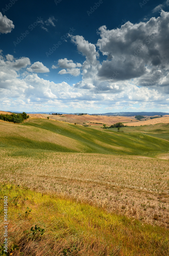 Beautiful Landscape near Asciano Siena. wheat field and blue cloudy sky. Tuscany, Italy.