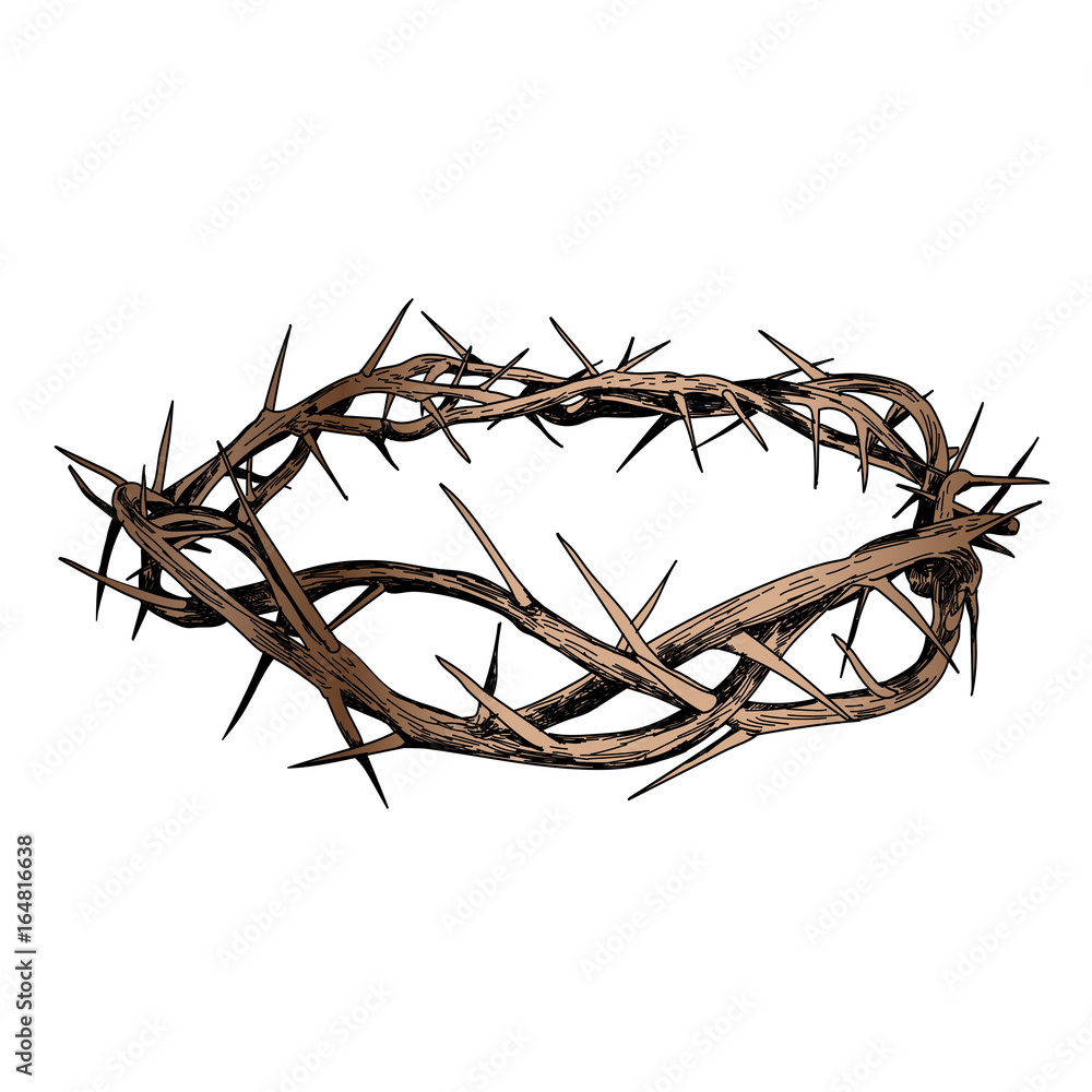 Crown of Christ on a white background. Sketch vector de Stock Adobe Stock